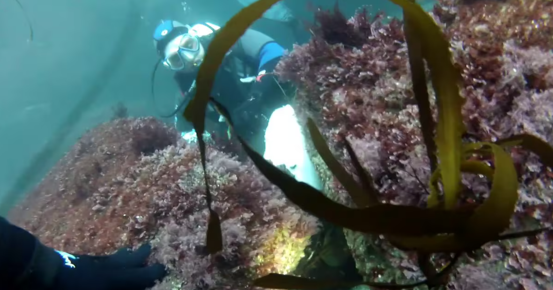 Scuba Diving with Mark video thumbnail